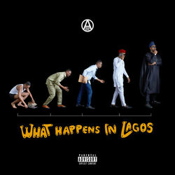Cover of What Happens in Lagos