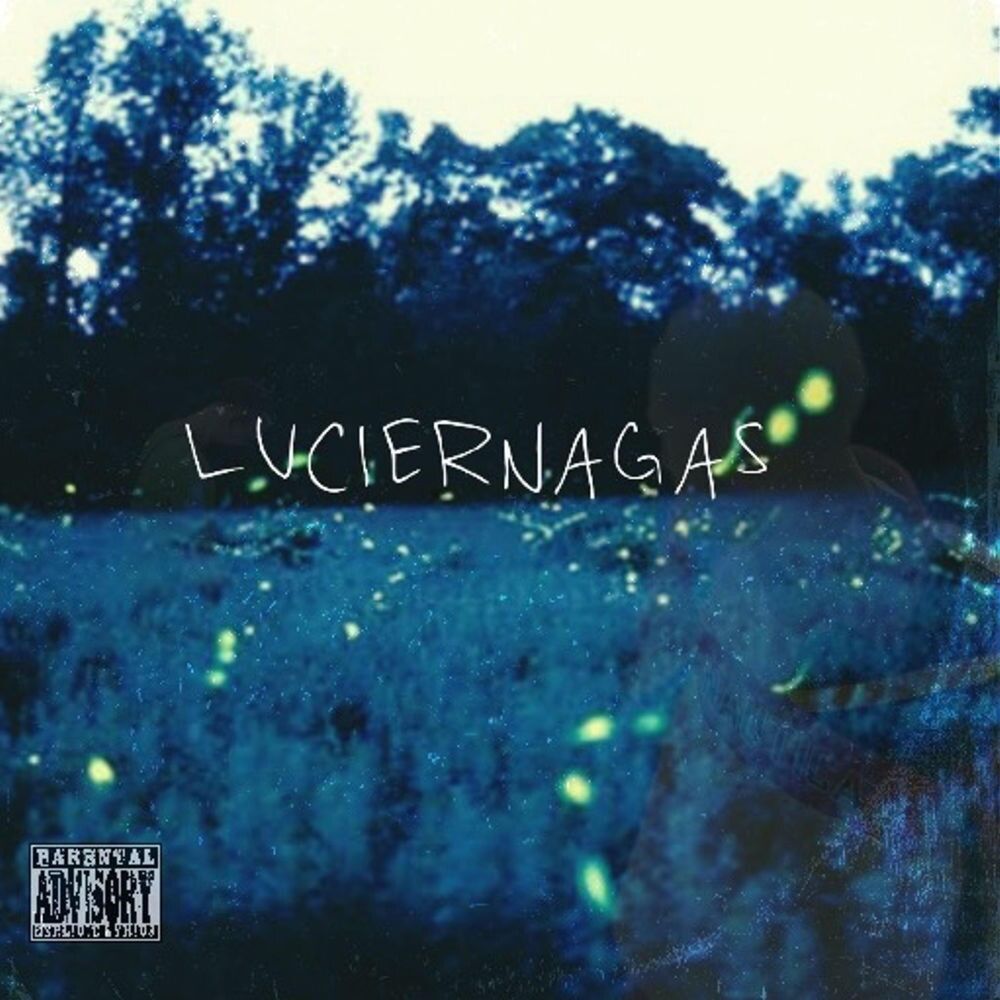 Picture of Luciernagas