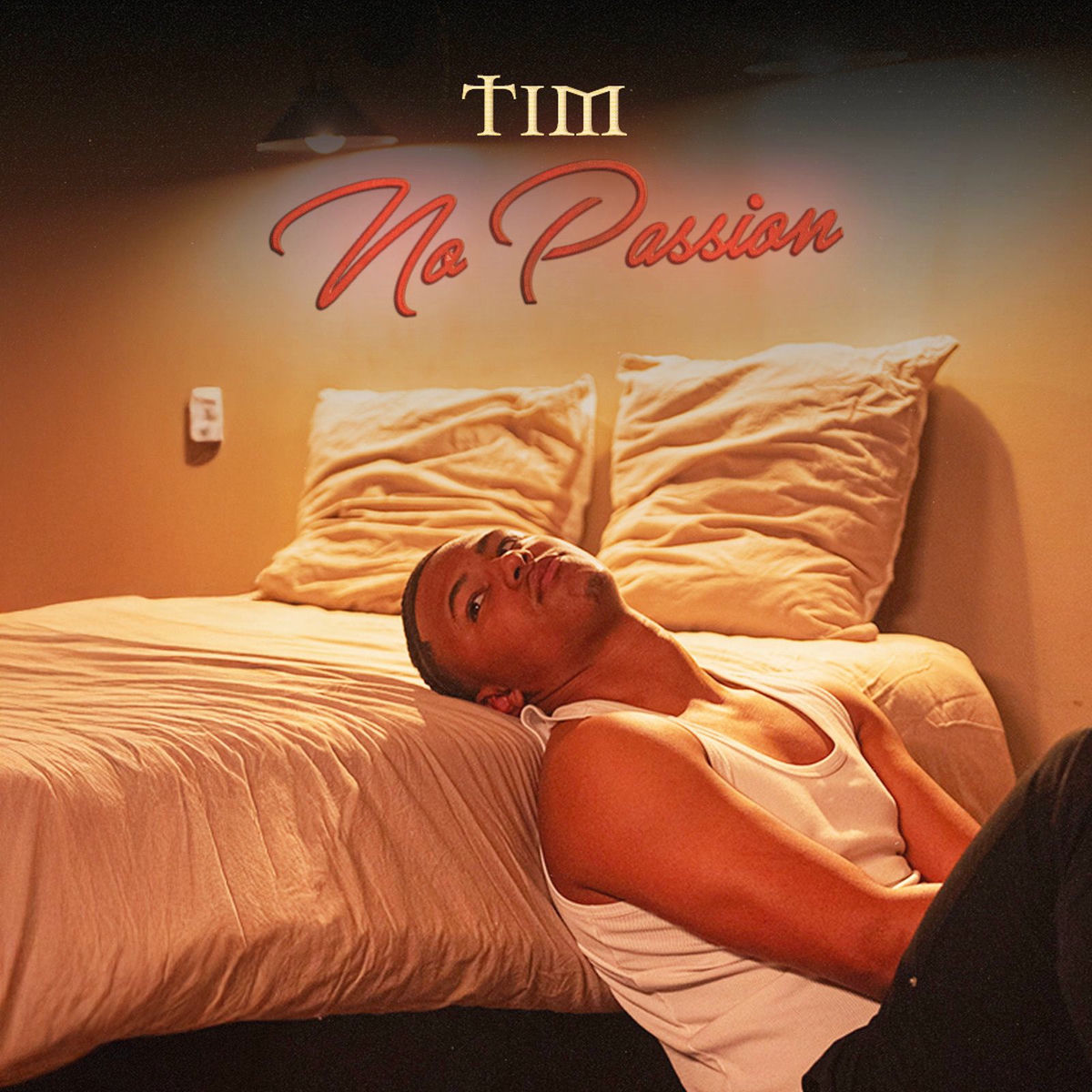 Album cover of No Passion