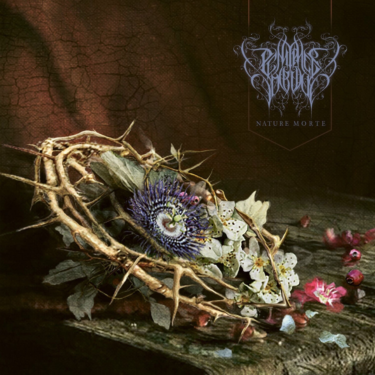 Album cover of Nature Morte