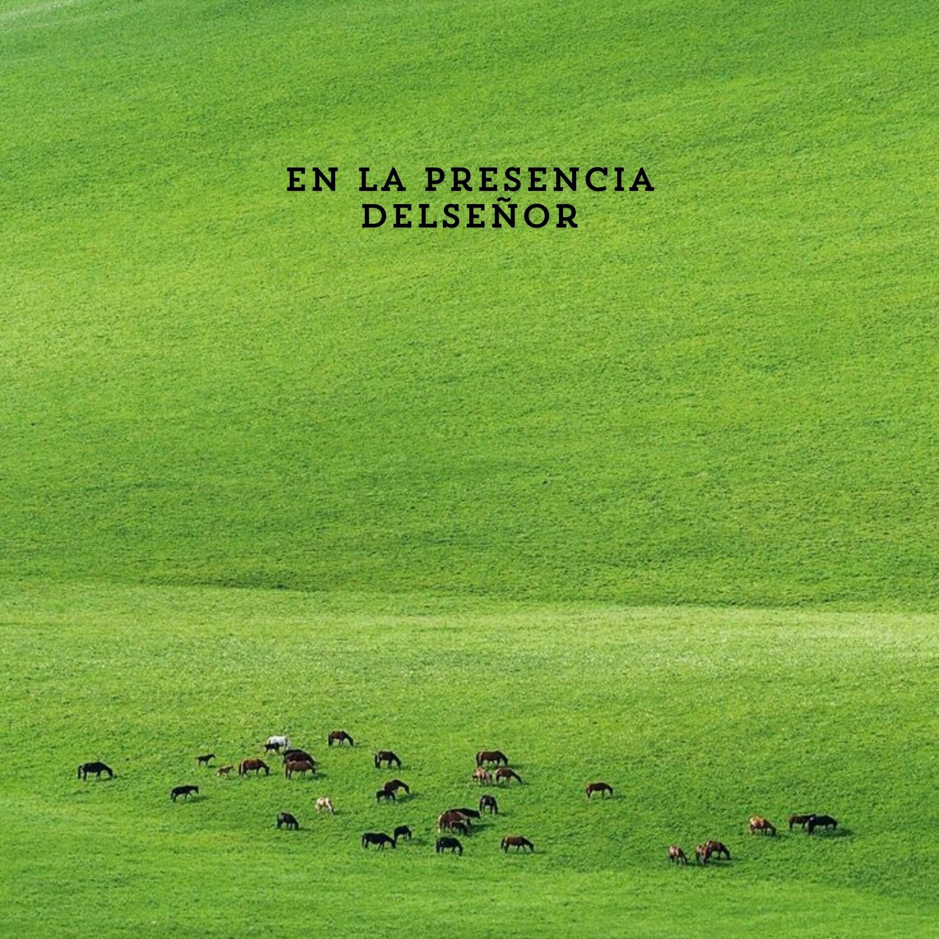 Album cover of En La Presencia Del Señor