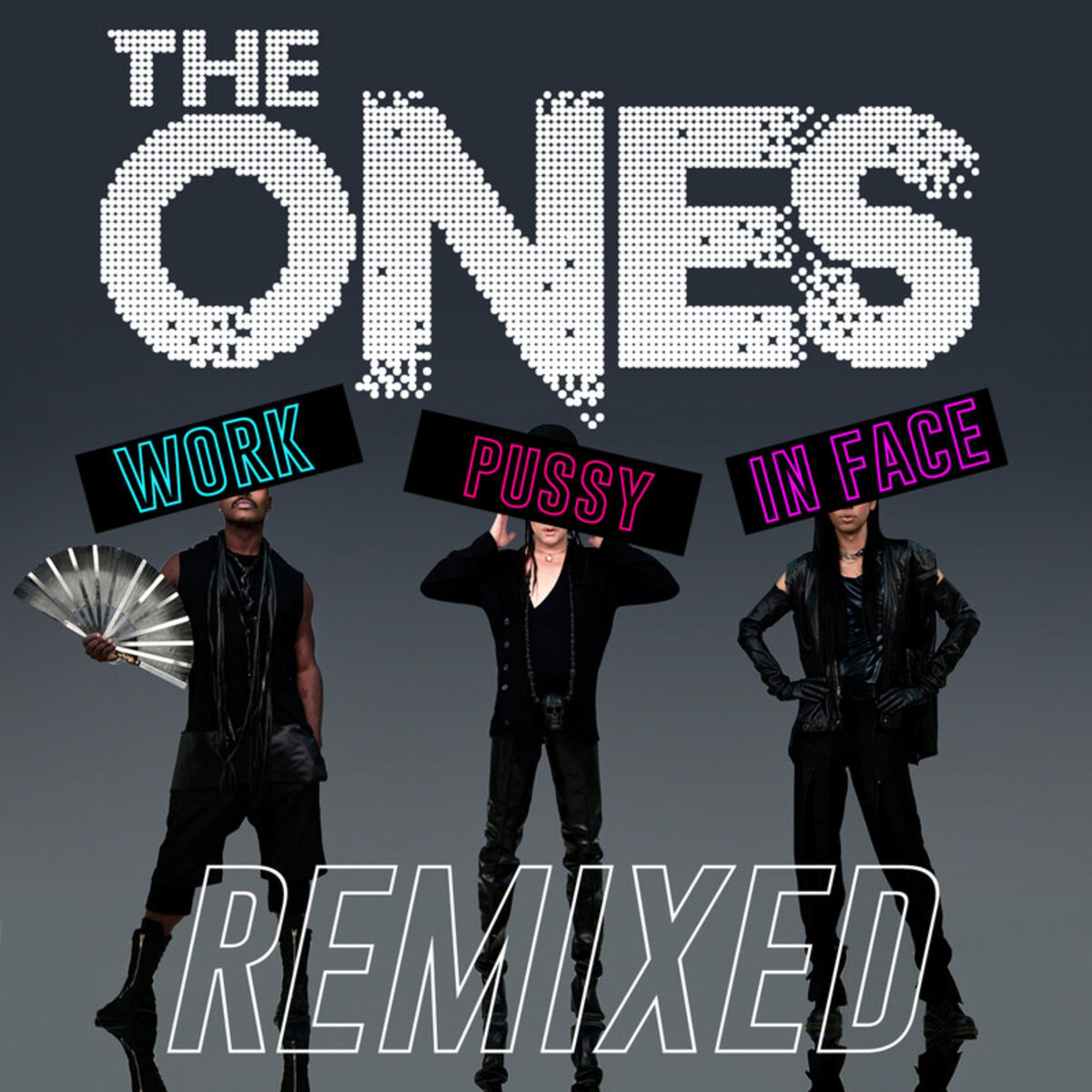 Album cover of Work Pussy in Face Remixed
