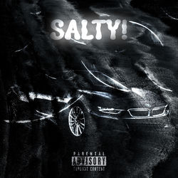 Cover of SALTY! by undefined