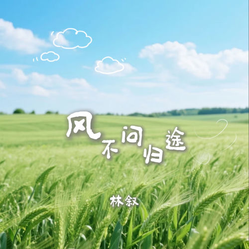 风不问归途