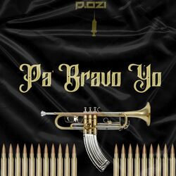 Cover of Pa' Bravo Yo