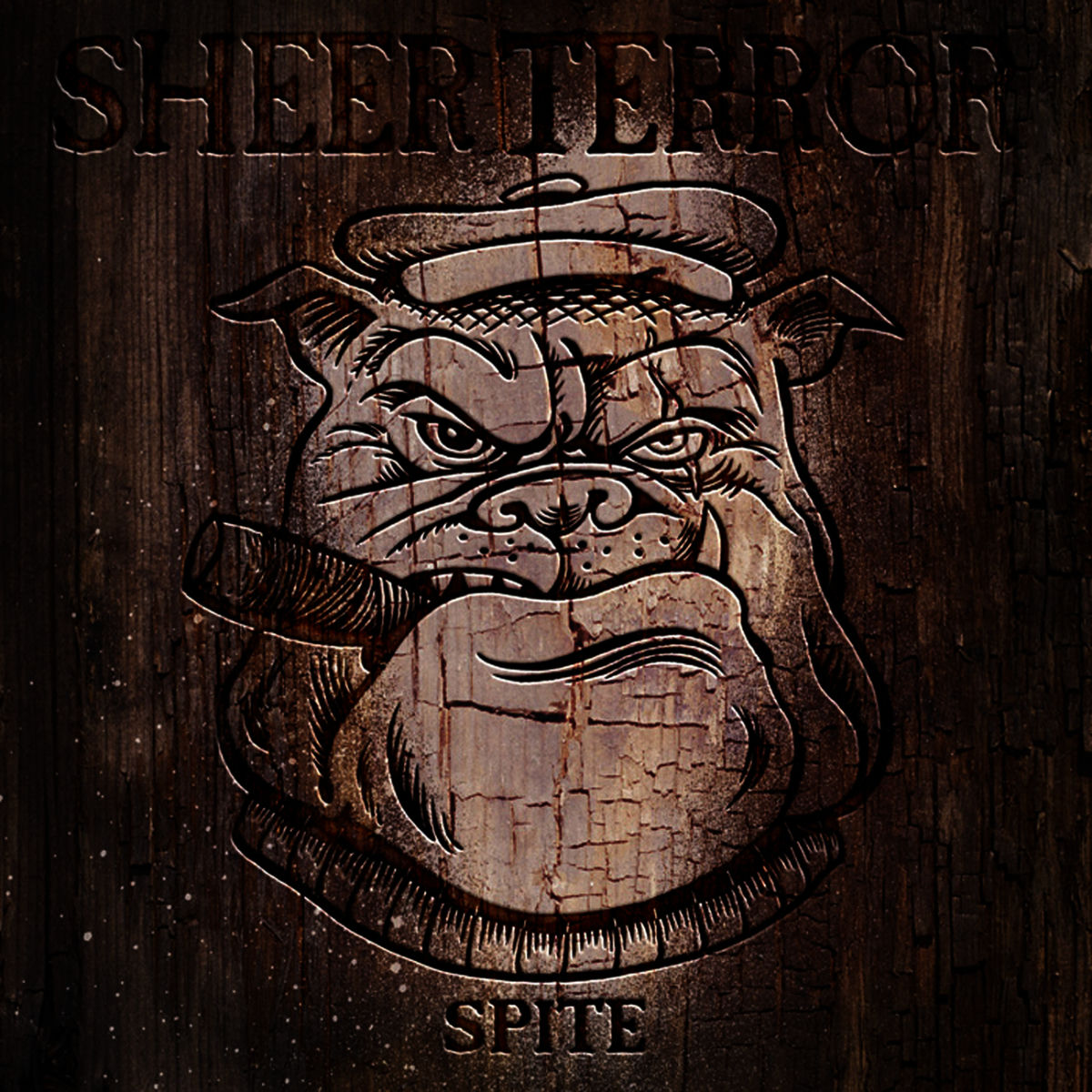 洋楽 SHEER TERROR Sheer Terror: albumy, piosenki, koncerty | Deezer