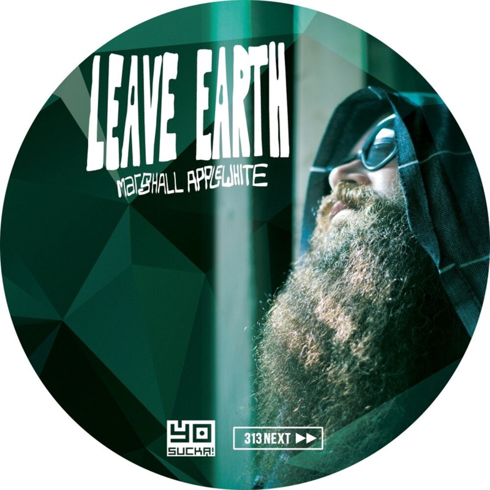 Picture of Leave Earth LP