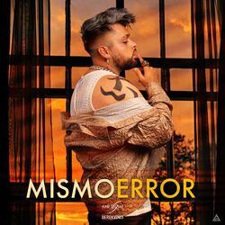 Cover of Mismo Error