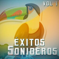 Cover of Exitos Sonideros vol 1