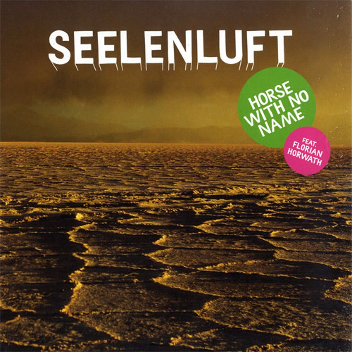 Album cover of Horse with No Name