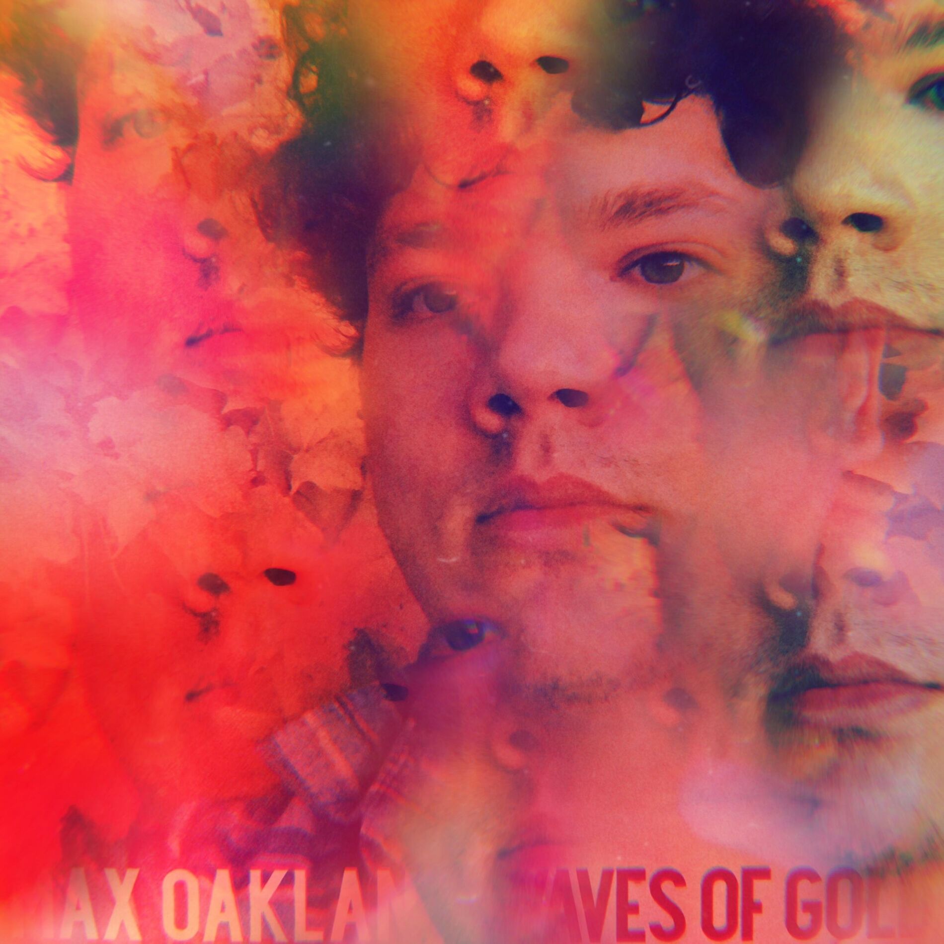 Album cover of Waves of Gold