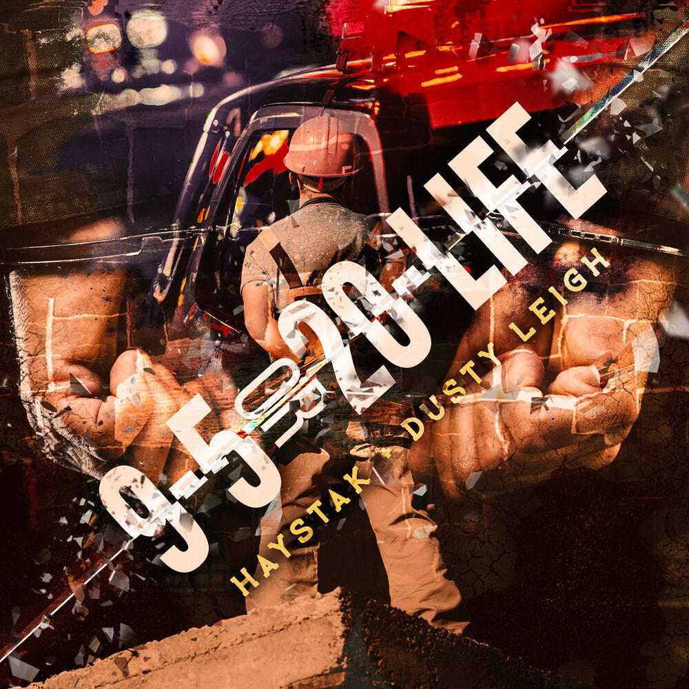 Picture of 9-5 or 20-Life