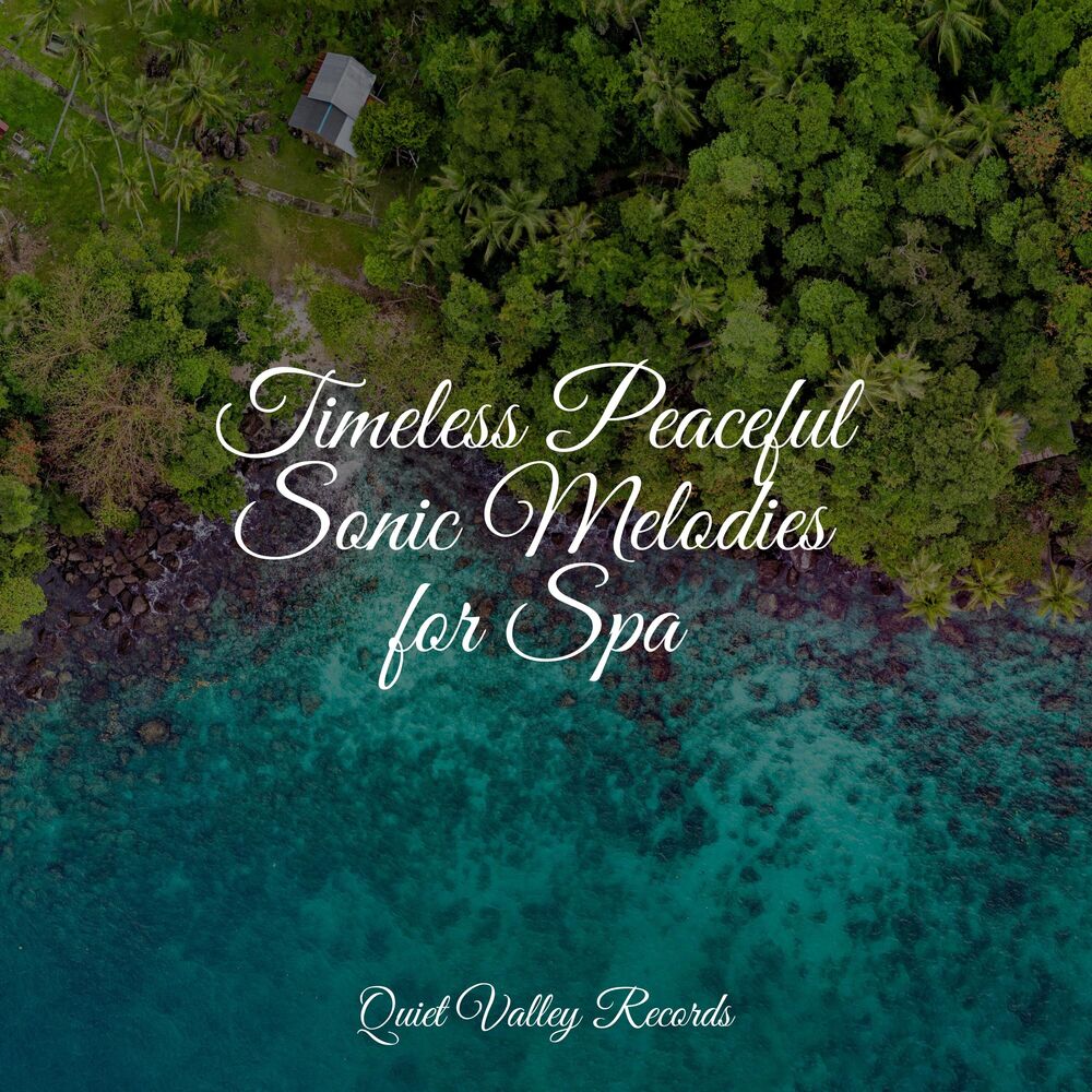 Picture of Timeless Peaceful Sonic Melodies for Spa
