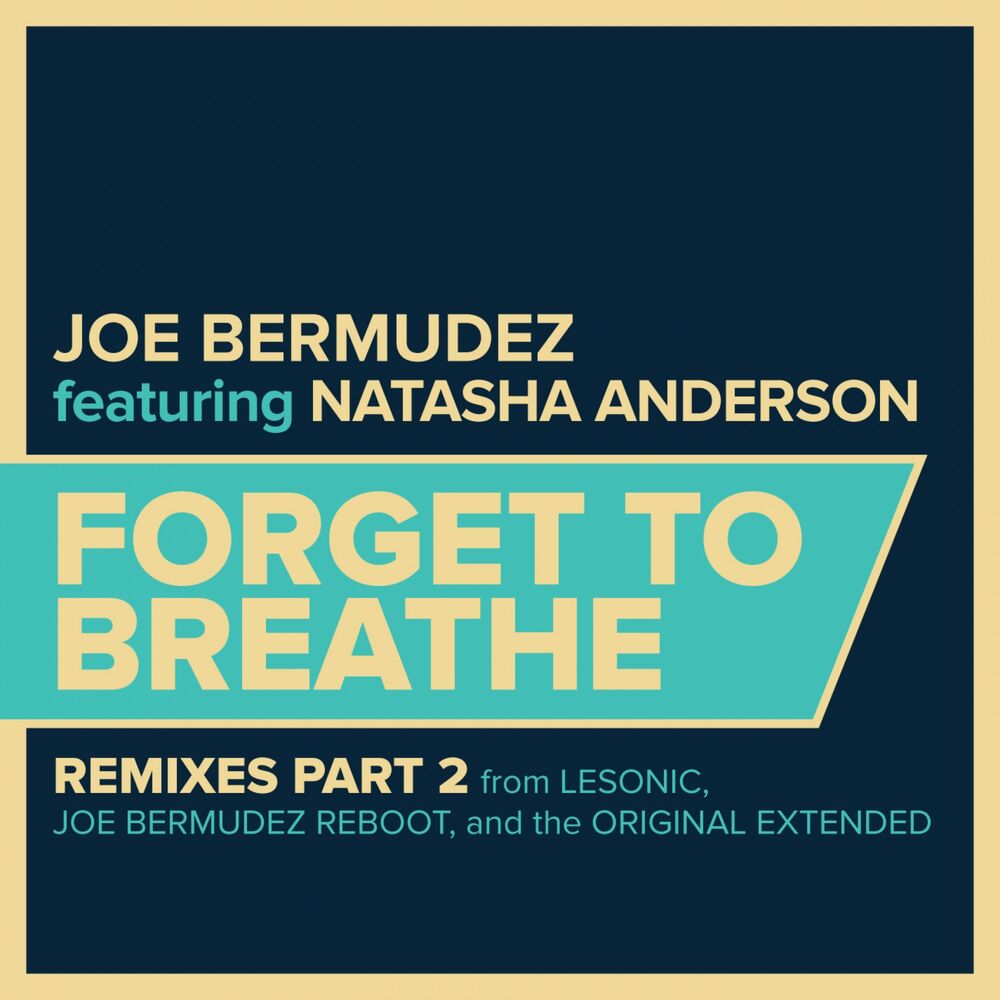 Picture of Forget To Breathe: Remixes, Pt. 2