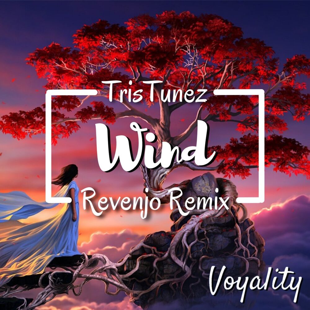 Picture of Wind (Remix)