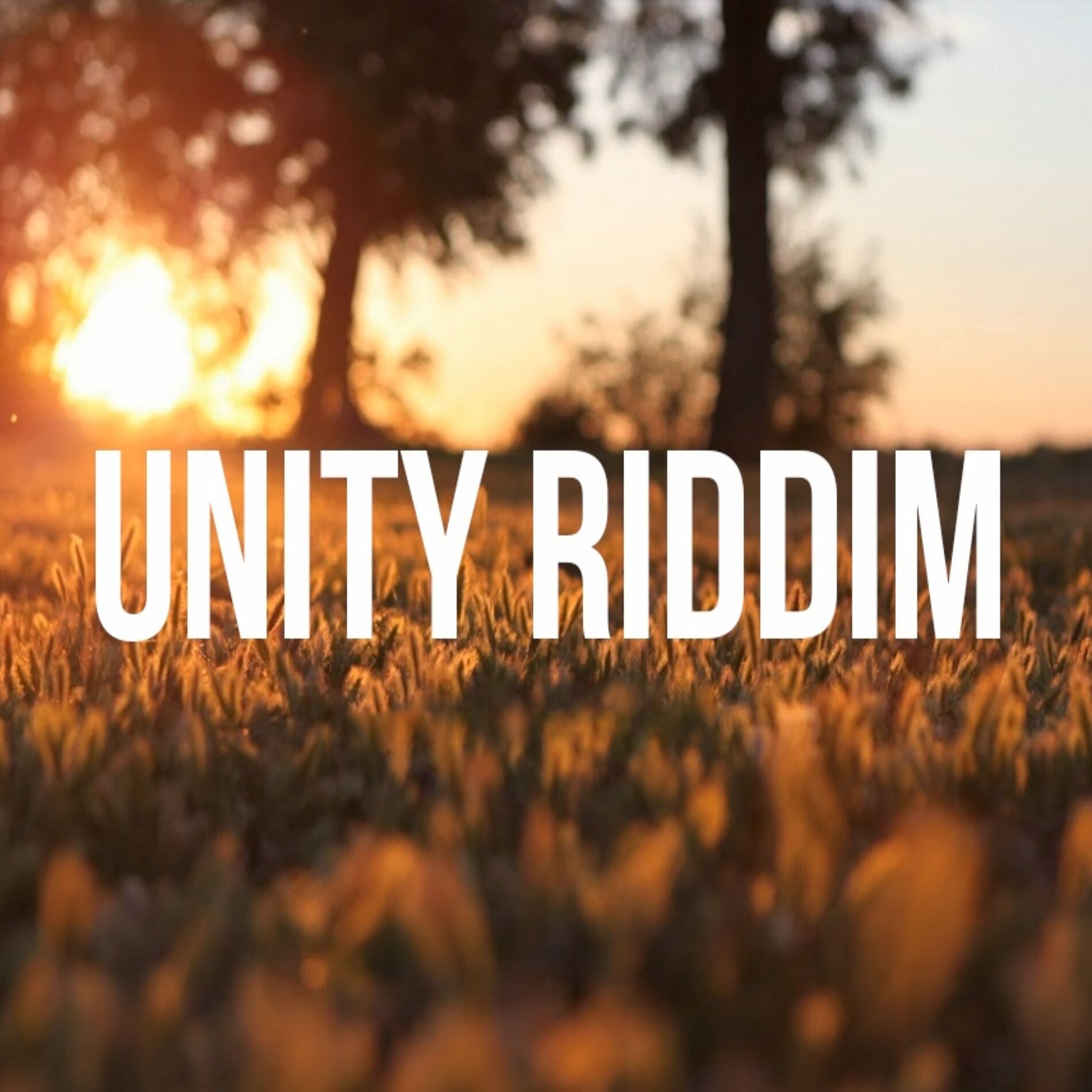 Album cover of Unity