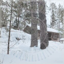 Cover of The Scars of Man on the Once Nameless Wilderness, Pt. 1