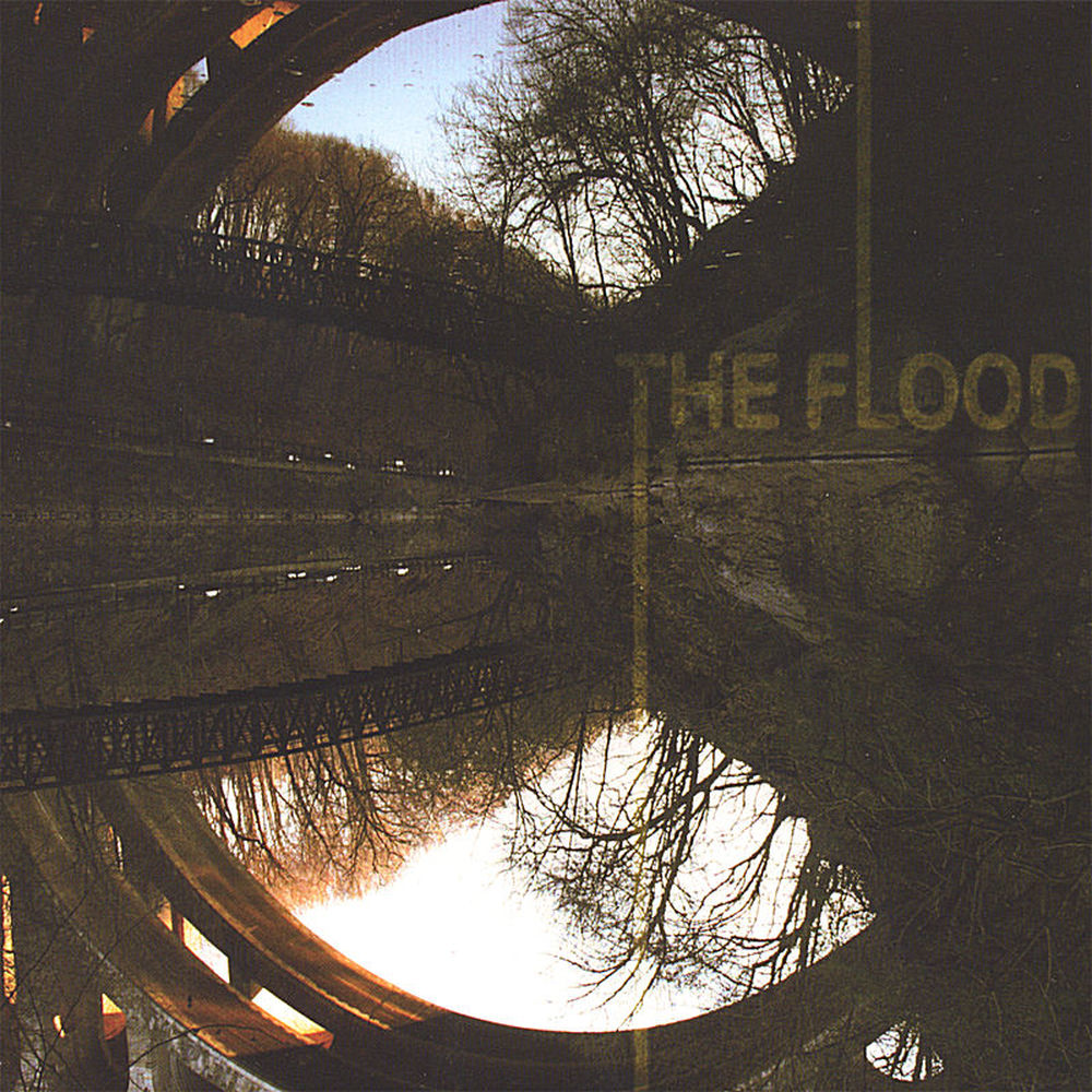Album artwork for Into A Flame by The Flood