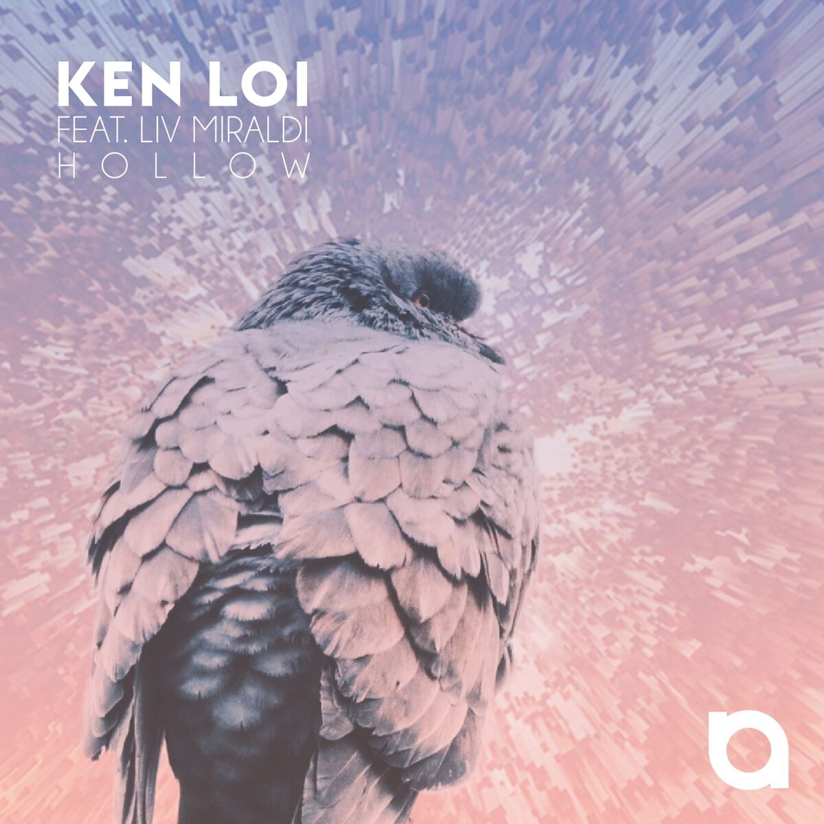 Album cover of Hollow