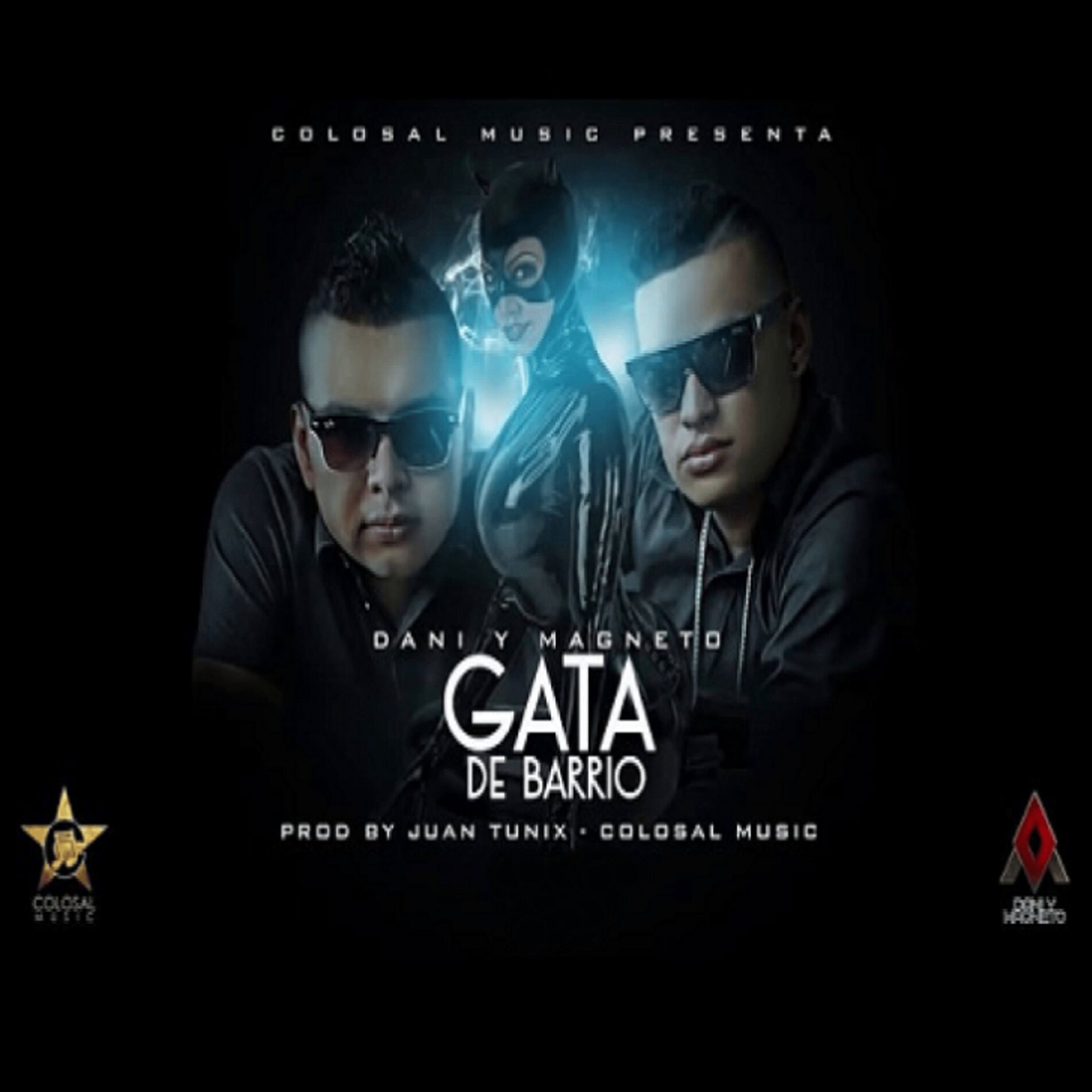 Album cover of Gata de Barrio