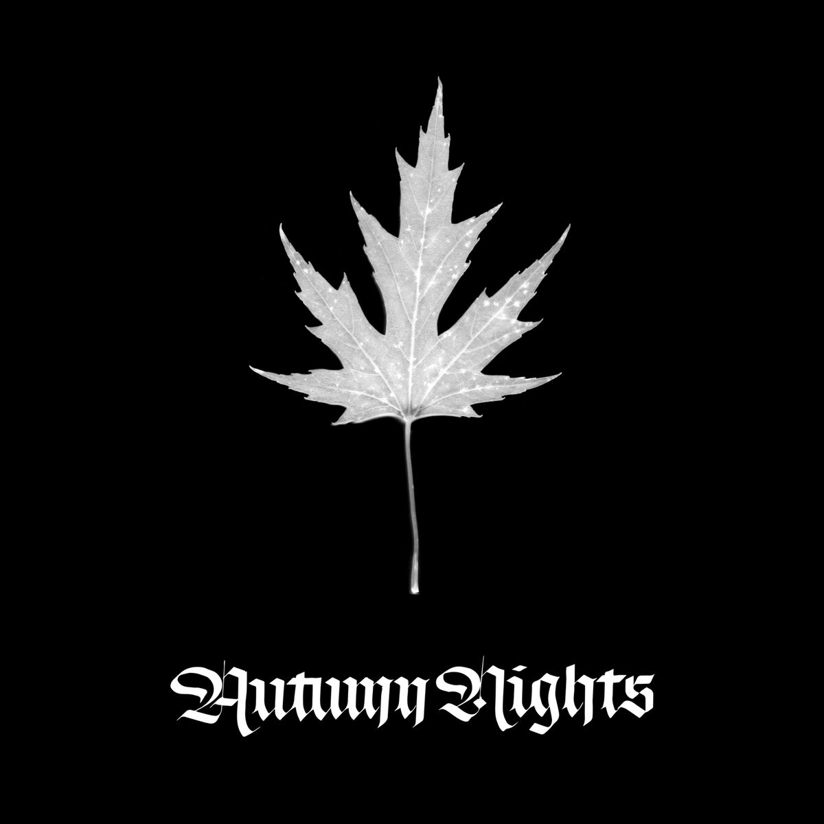 Album cover of Autumn Nights
