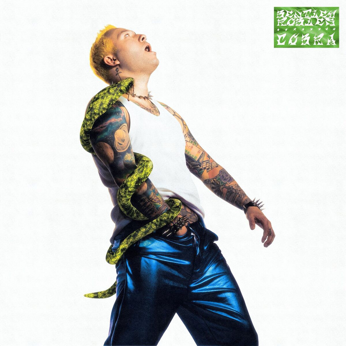 Album cover of COBRA