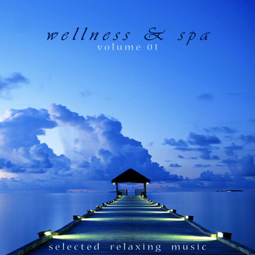 Picture of Wellness & Spa, Vol. 1