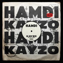Cover of Skanka (Kayzo Remix)