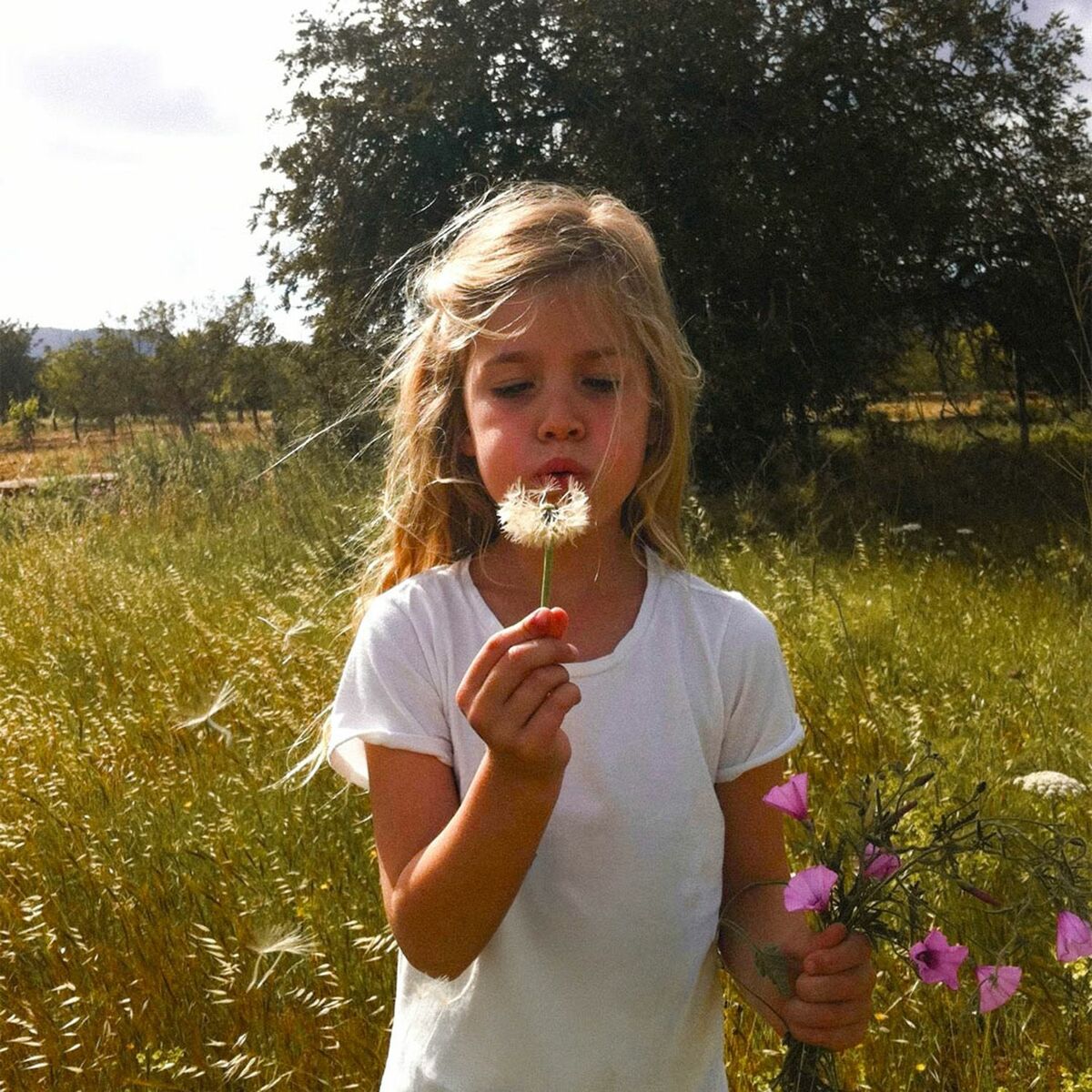 Album cover of Jouw Idee