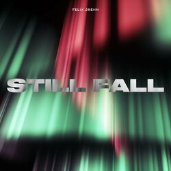 Cover of Still Fall