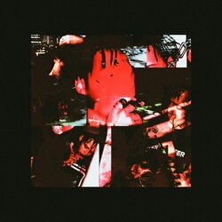 Cover of Revived