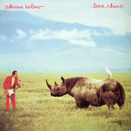 Lone Rhino cover