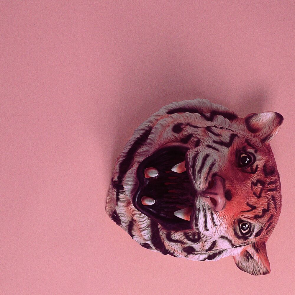 Picture of Pink Tiger