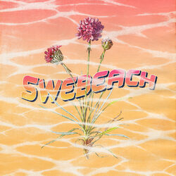 Cover of Swebeach
