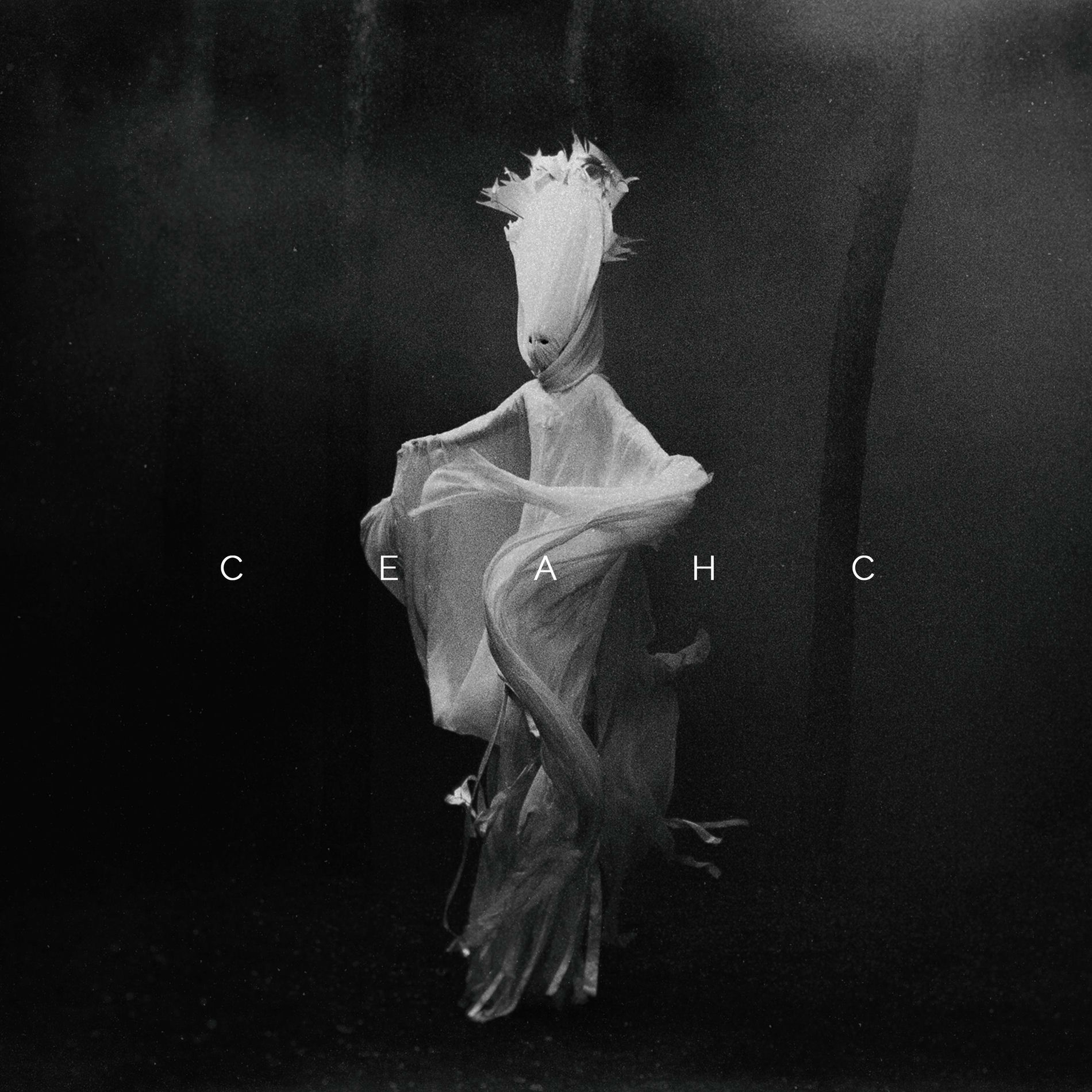 Album cover of CEAHC