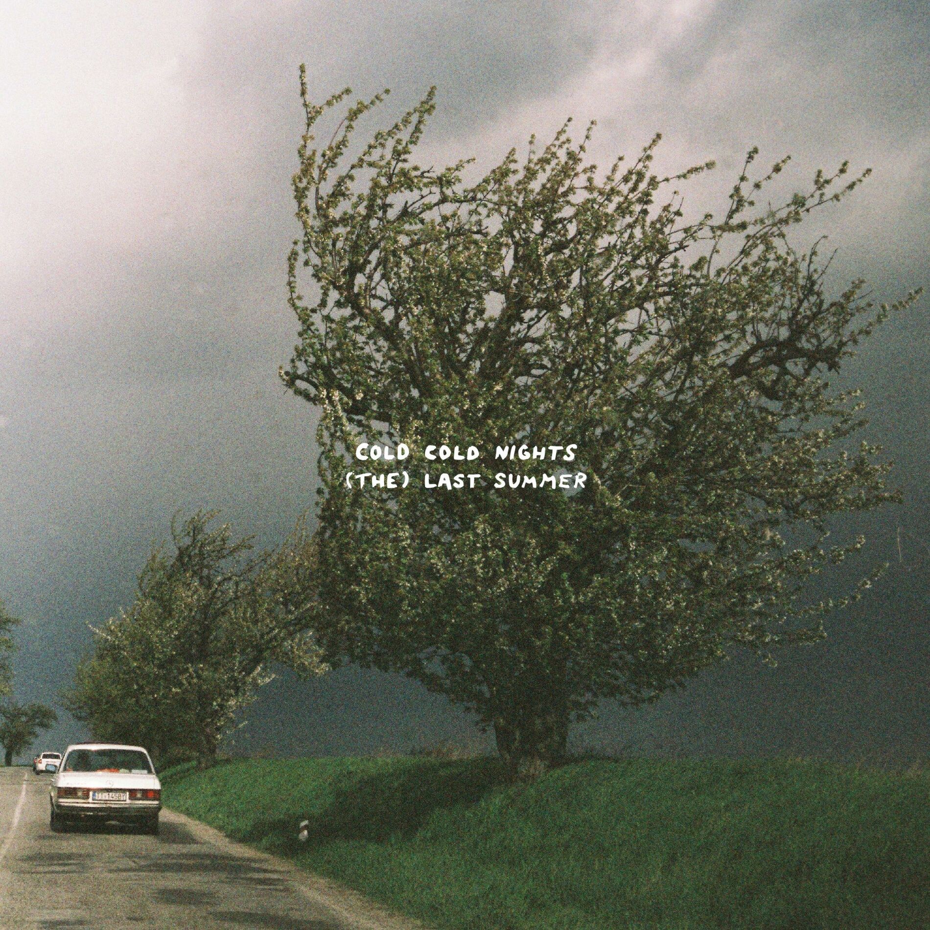 Album cover of (The) Last Summer