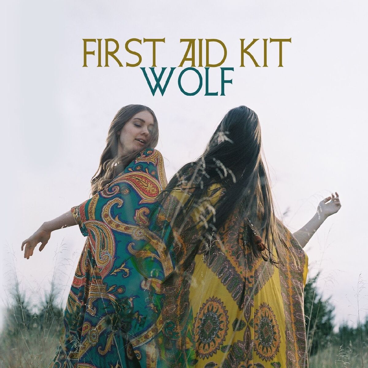 Album cover of Wolf