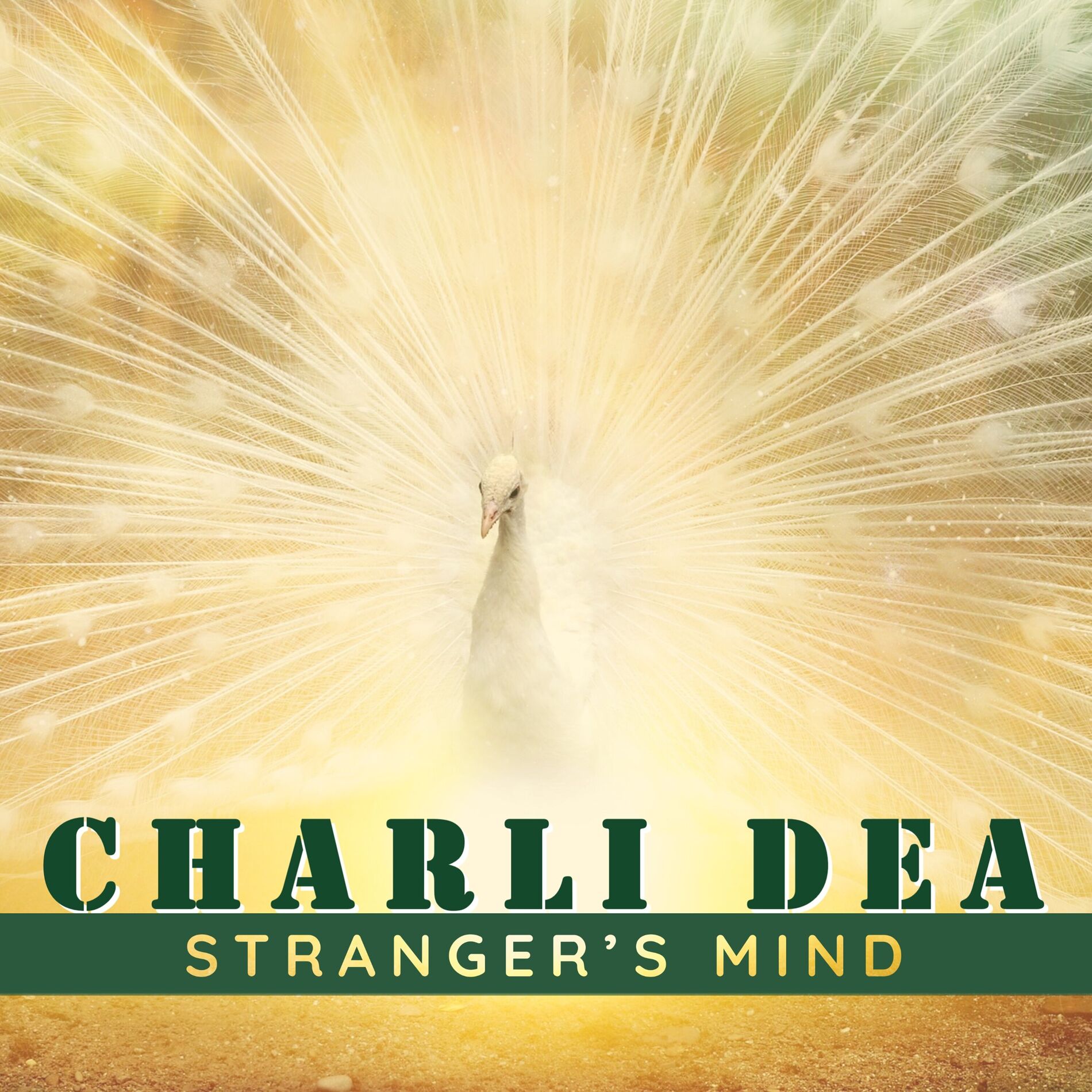 Album cover of Stranger's Mind