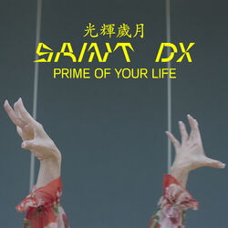 Cover of Prime of Your Life