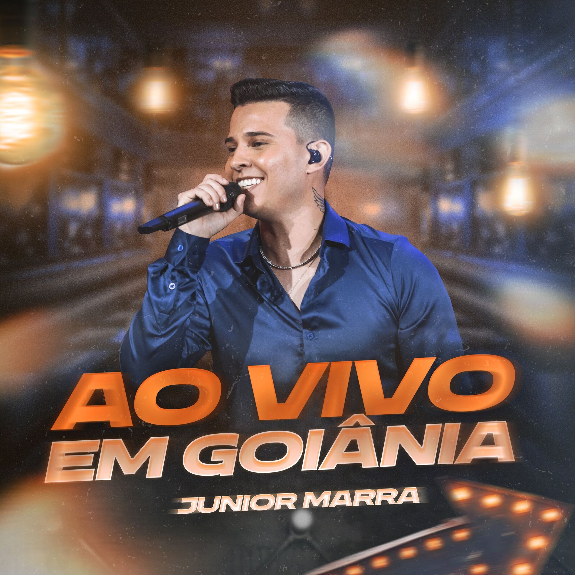 Album cover of Bagaceira