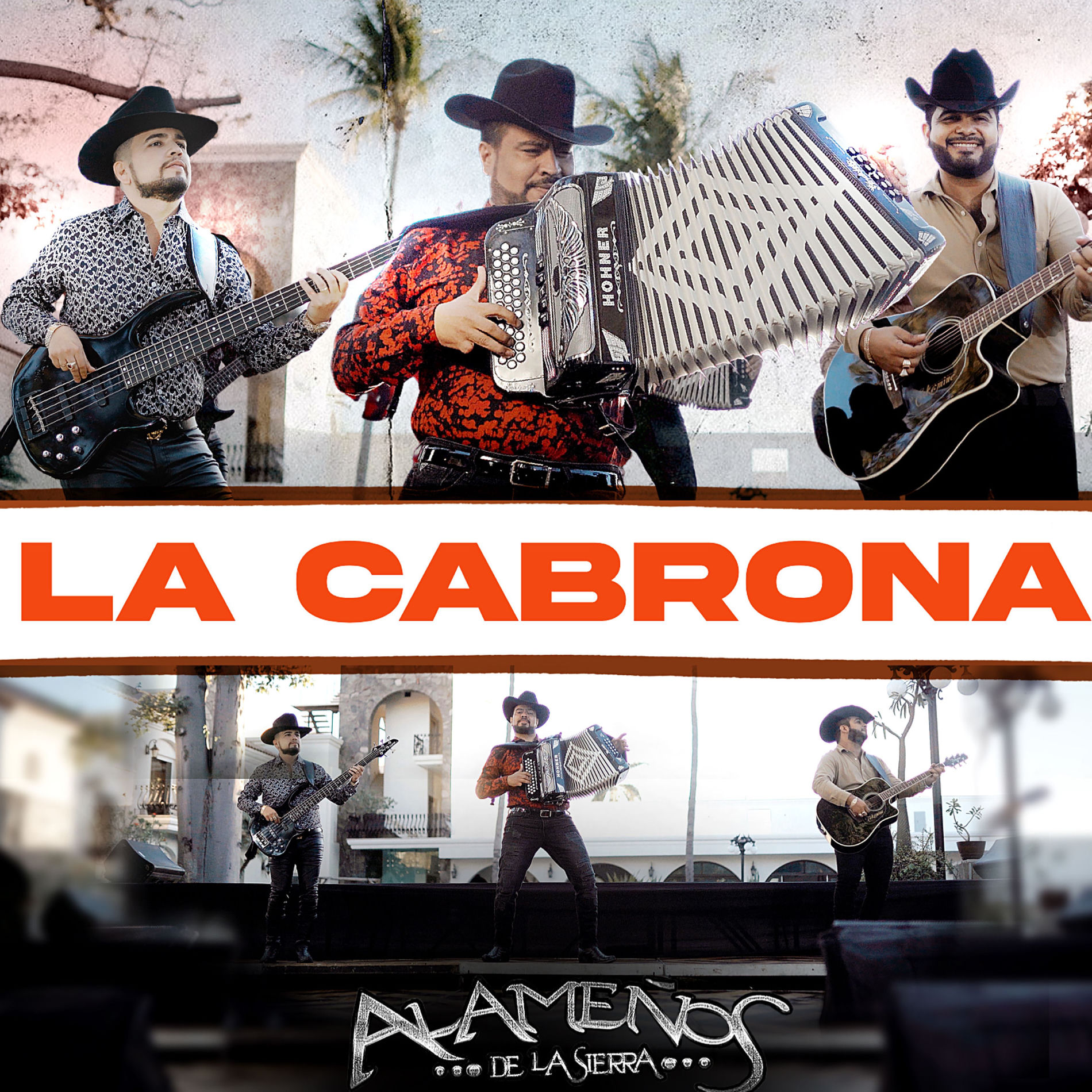 Album cover of La Cabrona
