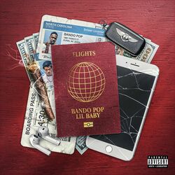 Cover of Flights