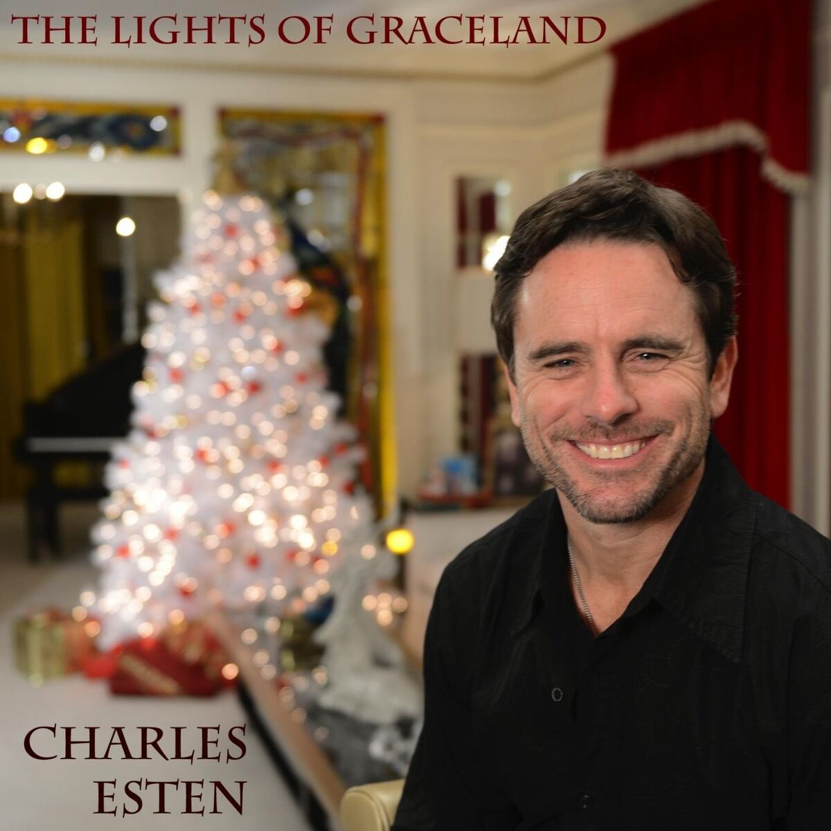 Album cover of The Lights of Graceland (feat. Sixwire)