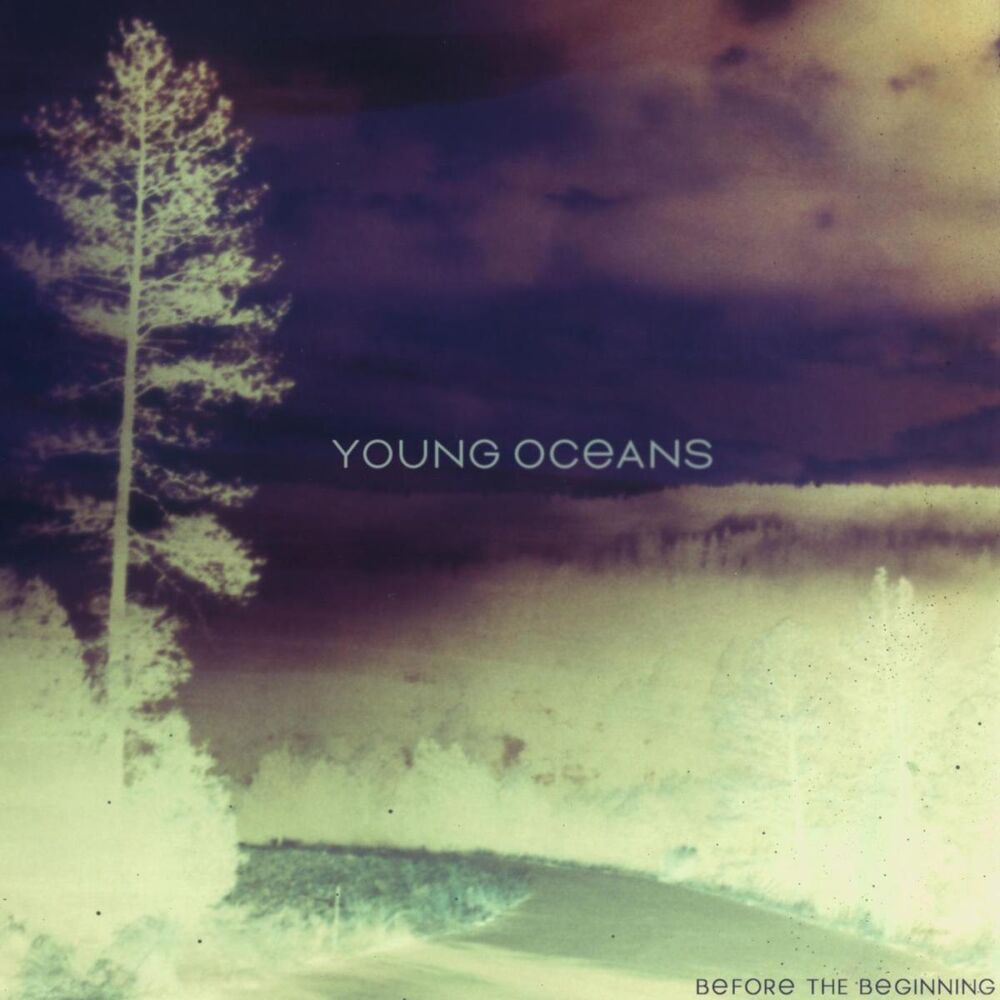 Picture of Before the Beginning (Instrumentals)