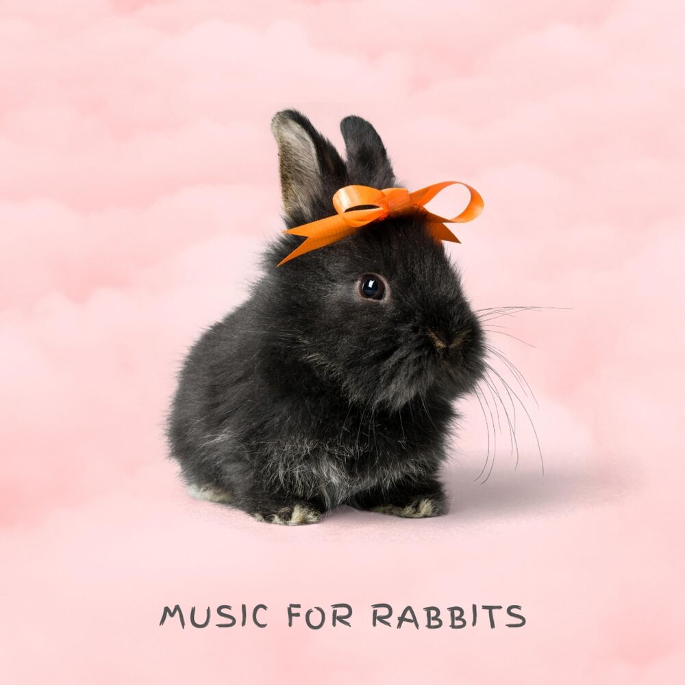 Picture of Music For Rabbits