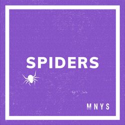Cover of SPIDERS