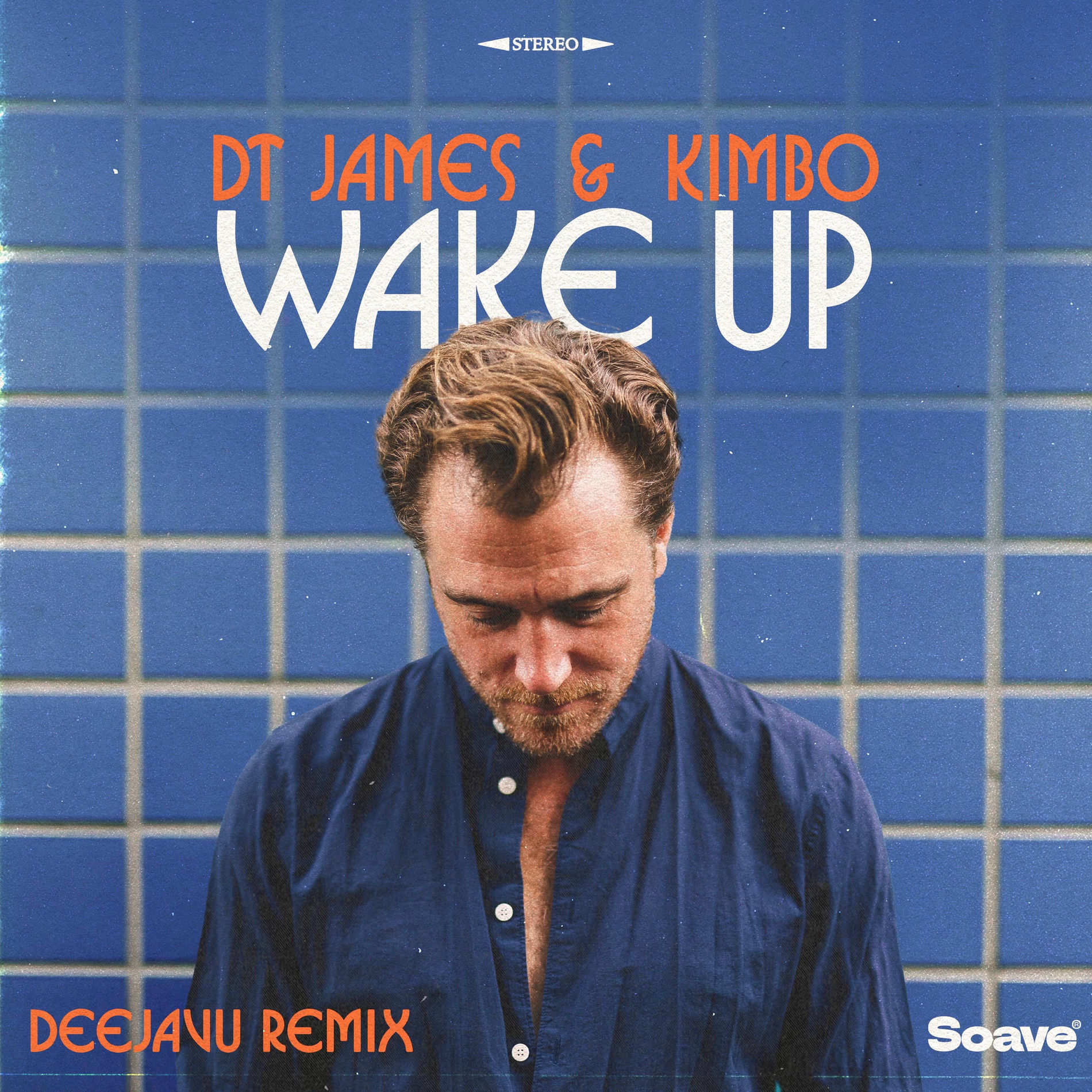 Album cover of Wake Up (DeejaVu Remix)