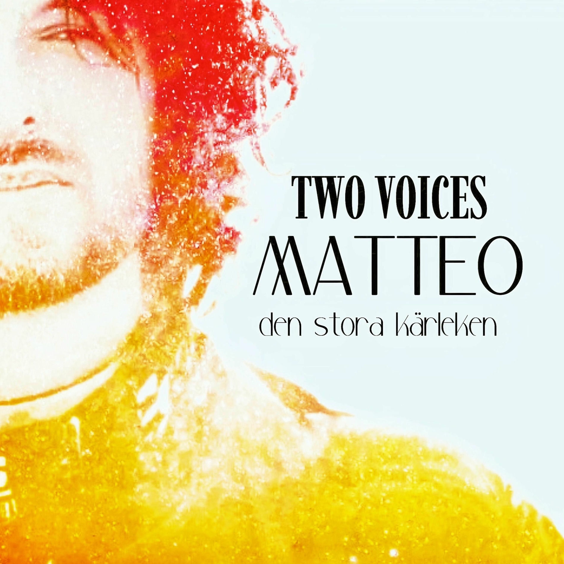 Album cover of Den Stora Kärleken (feat. Matteo)