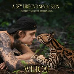 Cover of A Sky Like I've Never Seen (From the Amazon Original Movie "Wildcat")
