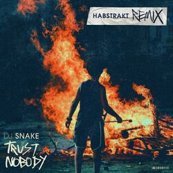 Cover of Trust Nobody (Habstrakt Remix)